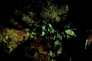 Vintage erotic drawings from antique anime hentai