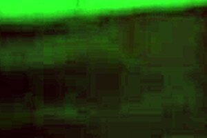 sexy girl deserves warm cum in 3d hot sex