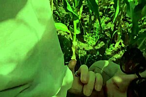 Help a friend in the cornfield