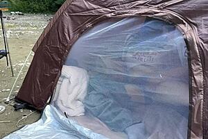 College student gives blow job in the woods at an outdoor adventure camp and keeps it a secret