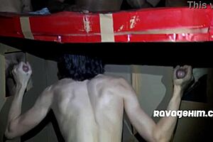 Suck that big black cock!