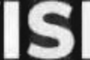 hey, these real lesbians in nairobi are muff diving and licking big tits