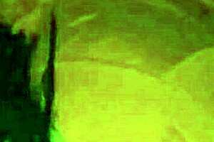 Want to see a verga mamada?