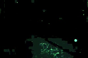 Vintage Erotic Drawings