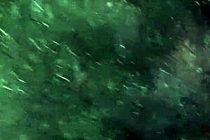 First I Invited My Neighbor To Admire The Flowers And Then I Fucked Her In The Mouth - Girls Fly Orgasm