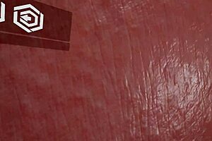 Immersive Vr Game Adventure