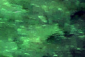 First I Invited My Neighbor To Admire The Flowers And Then I Fucked Her In The Mouth - Girls Fly Orgasm