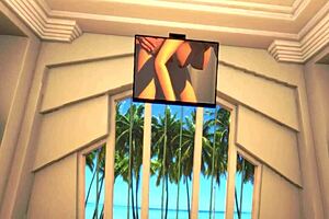 Beach house VR play turns into shaved pussy creampie