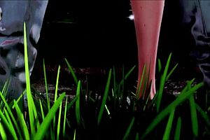 Exploring the inn in episode 61