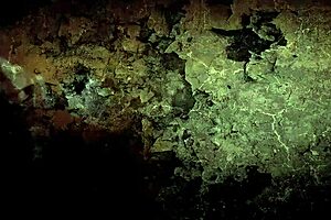 vintage erotic illustration from retro cartoon