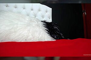 Latina linda morrita se masturba suavemente.