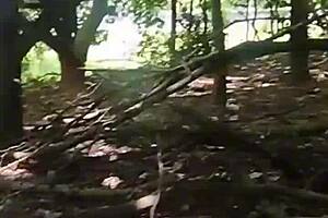 Amateur couple enjoys outdoor sex in the park