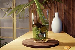 dealing with lewd cat anime