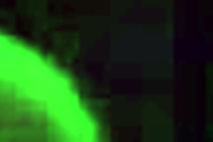 Nicole Demara Intense Sex - Zenless Zone Zero Hentai