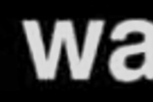 Isn't this pretty Asian teacher shaking her big ass?