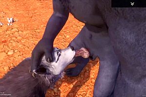 alpha wolf devours the delicious she-wolf in wild life adventure