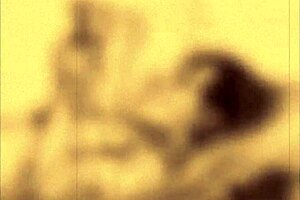 Vintage Japanese erotic animation and illustration