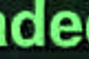 Intense Homemade Blowjob Session on Xvideos