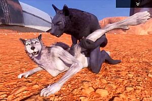 alpha wolf devours the delicious she-wolf in wild life adventure