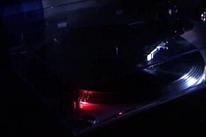 seeking big cocks for oral fun