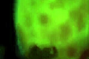 cammy enjoys the cake in fun hentai scene