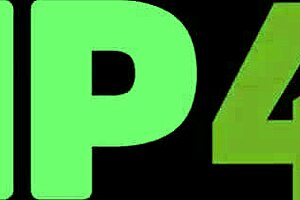 Masked Bride Shows Shaved Pussy At Public Wedding