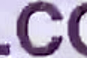 Ichika and Makoto in Reverse Bunny Costume Play