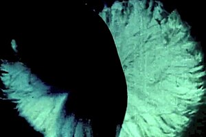 Dark Lantern Entertainment Shares Erotic Confessions of a Victorian Gentleman