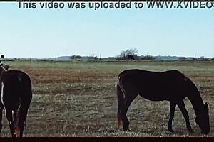 Married couple’s hot sex on the Oklahoma farm in music video