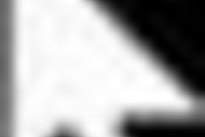 近衛騎士ウェイン　②