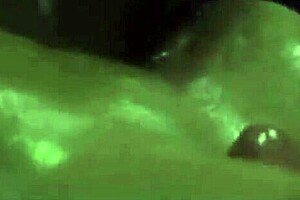 Harley Quinn Hard Fuck Compilation