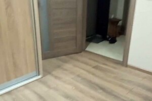 Petite wife seduces courier with tight pussy while husband’s away