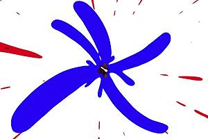 eliza rae performs seductive striptease as tattooed housewife in full movie