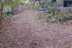 Ever seen a pinay scandal unfold with public sex and fingering?