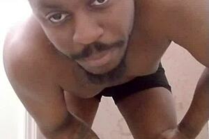 returning to make a mess in a different room like a scorpio wolf and pet dog