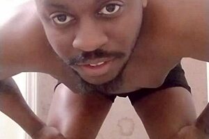 returning to make a mess in a different room like a scorpio wolf and pet dog