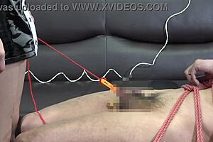 Japanese Mistress Dominates With CBT And Facesitting