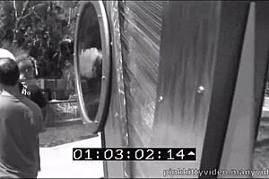 Is Stephanie Cain ready for that stiff cock?