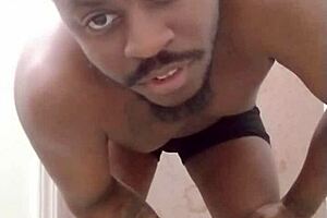 returning to make a mess in a different room like a scorpio wolf and pet dog