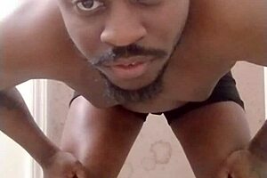 returning to make a mess in a different room like a scorpio wolf and pet dog