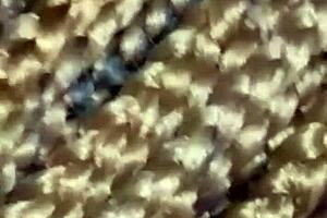 Bigass Milf Fucks Ex Boyfriend