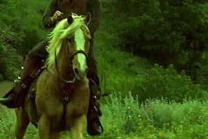 why did brooke ballentyne fuck that ranch hand by the fireside?