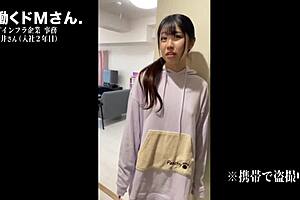 Lonely office worker wants a pet