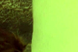 Fucking Ex in Bent Over Doggystyle