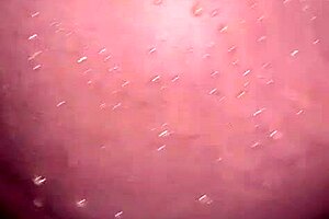 Amateur Pornstar Performs Deepthroat Anal Blowjob and Assfucking