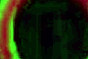 Tiffani madison in blue bikini sucks and fucks rome majors big black cock to orgasm