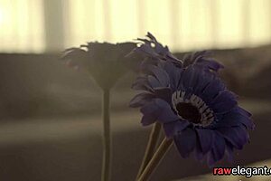 Is that beautiful maid really getting doggystyled like that?