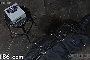 Sadomasochistic practices such as ball licking and blowjob in a hardcore porn video