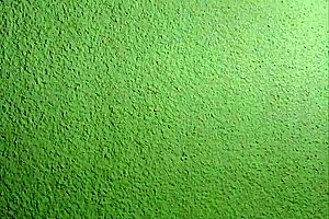 Beautiful Sexy Ass and Pussy of Emy Angel on Display!