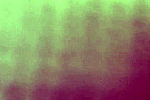 i got this new latina prostitute with a big ass, she's a rising porn star